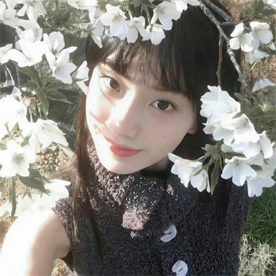 来自风平浪静的明天